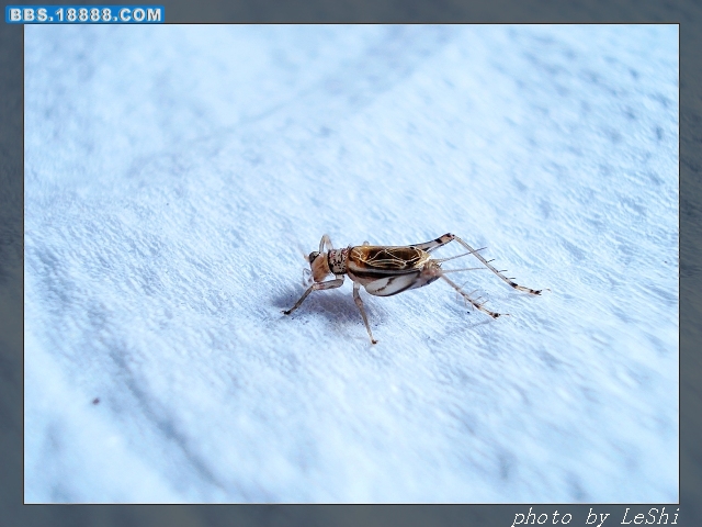 DSC03967.JPG