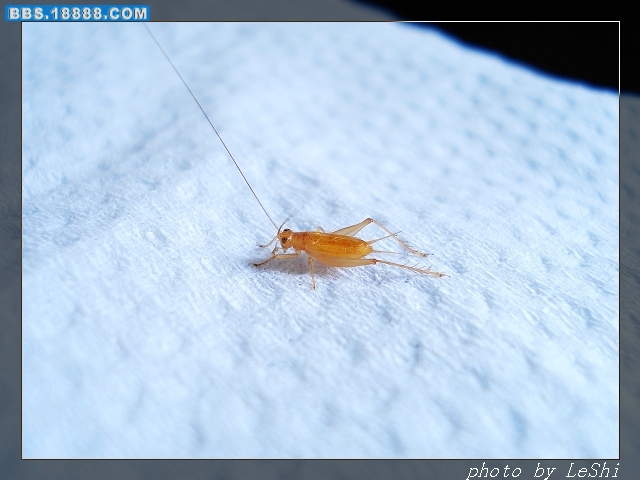DSC04039.JPG