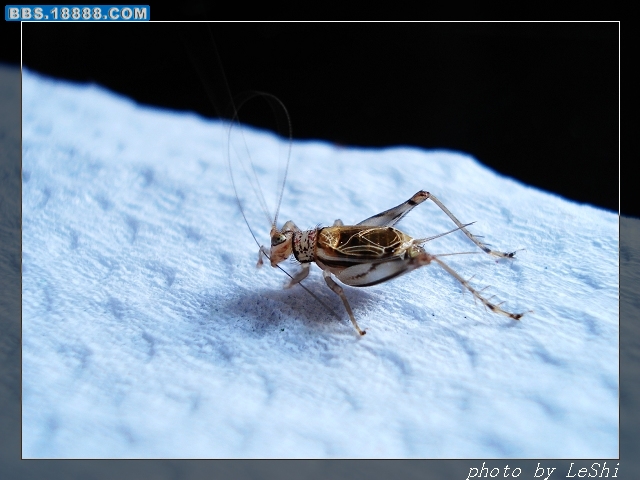 DSC03918.JPG
