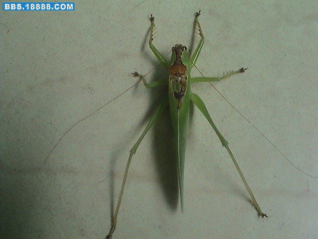 DSC00404.jpg