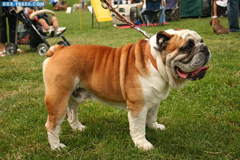 8dd3c6505f6c3b46843524da.jpg