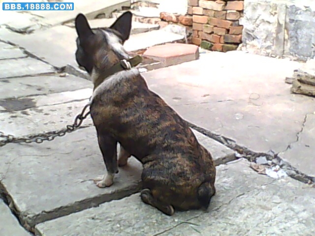 IMG0281A.jpg