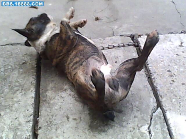 IMG0282A.jpg