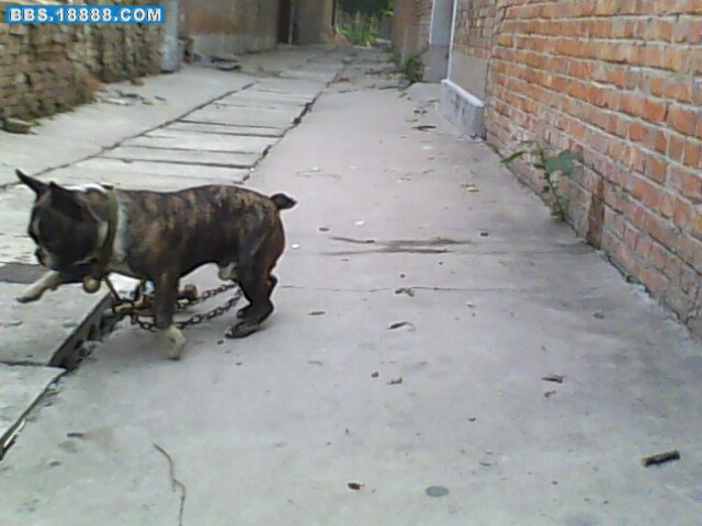 IMG0284A.jpg