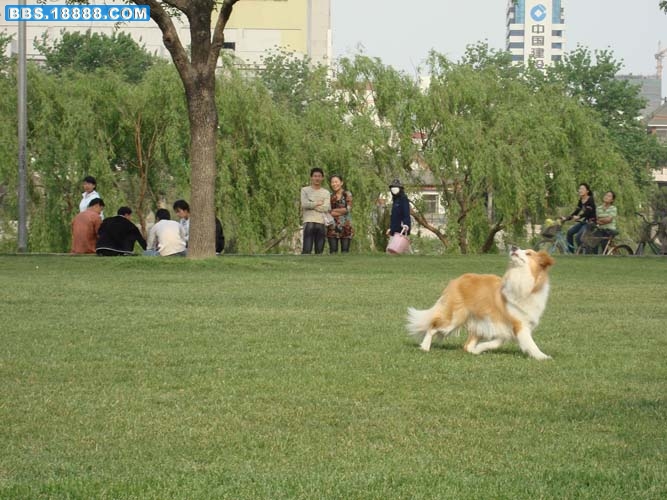 DSC00330.JPG