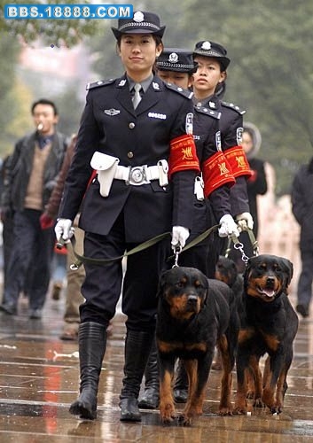 跟美女巡逻！.jpg