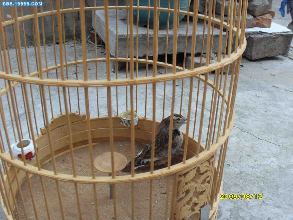 SDC11072.JPG