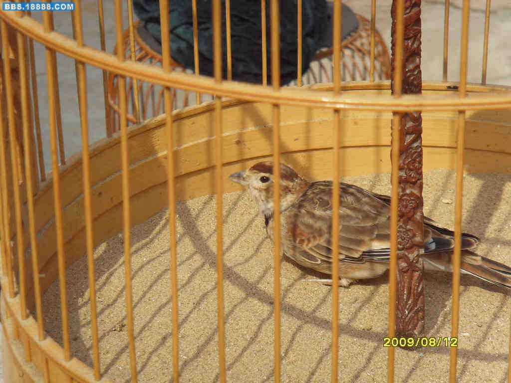 SDC11032.JPG