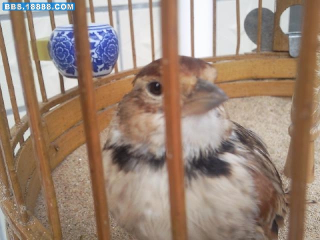 我的照片0243.jpg