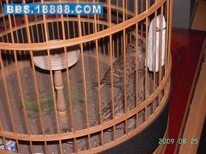 PICT0644.JPG