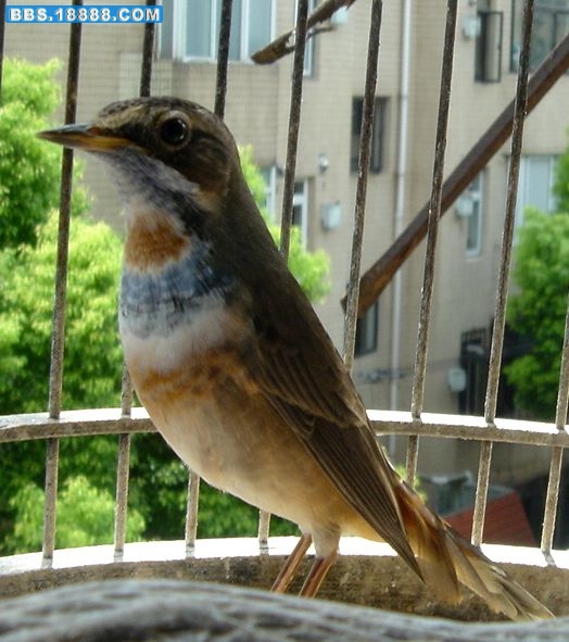 DSC00031.JPG