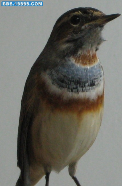 112.jpg