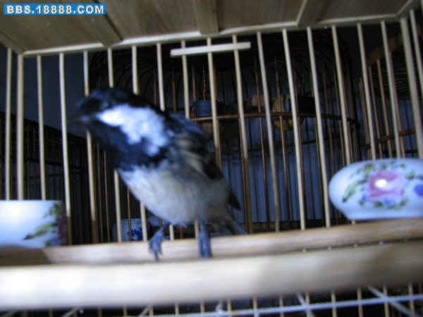 IMG_2011.jpg