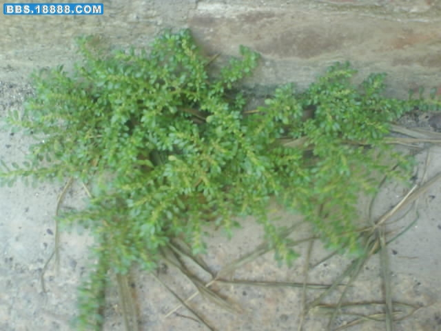 DSC00284.JPG