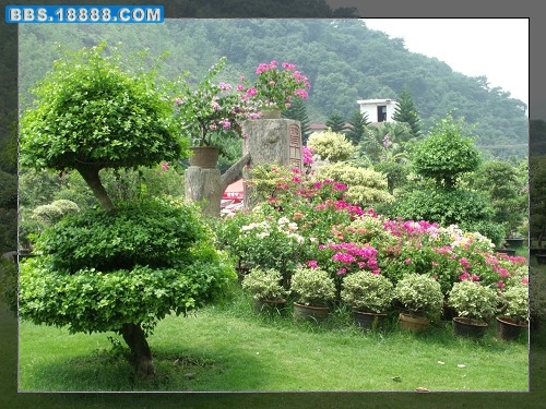 DSCF0689.JPG