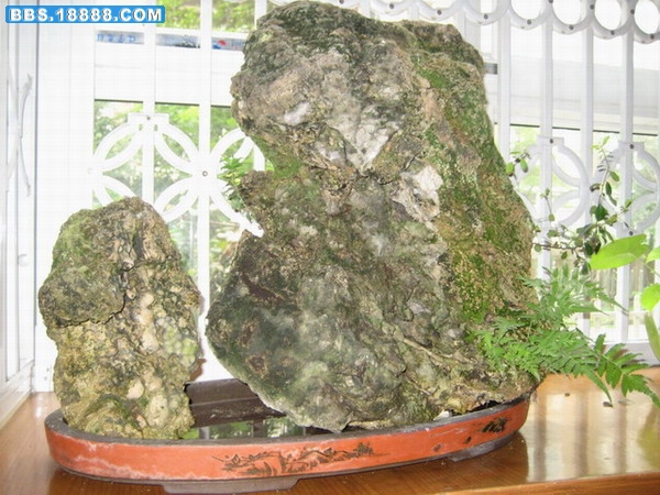 IMG-0005.JPG