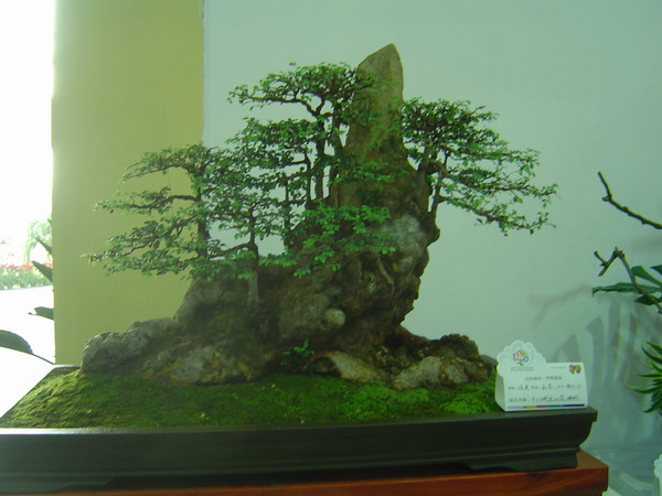 照片 747.jpg