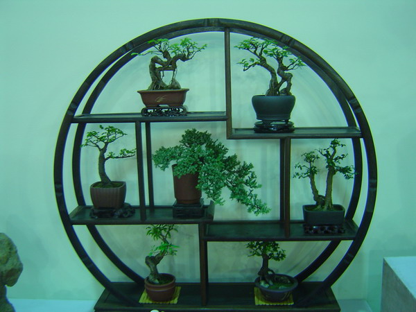 照片 770.jpg