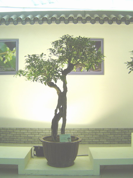照片 780.jpg