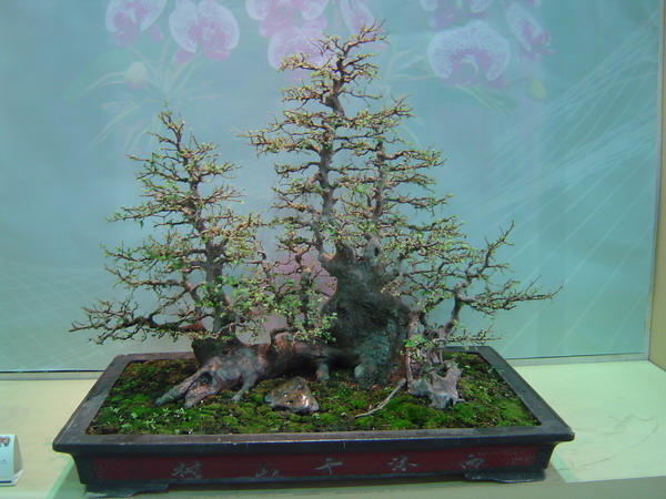 照片 754.jpg