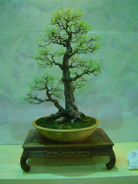 照片 752.jpg