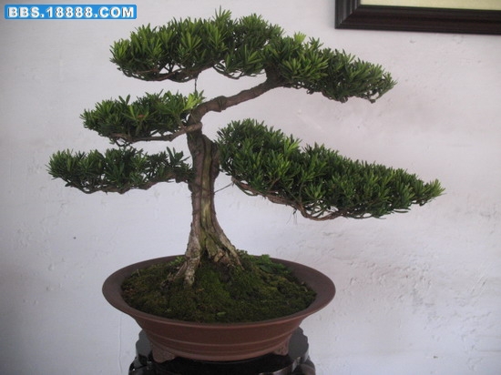 照片 1363_缩小大小.jpg