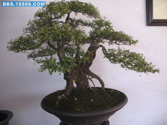 照片 1400_缩小大小.jpg