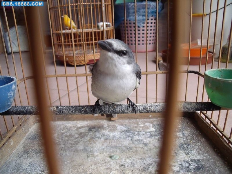DSCF1383.JPG