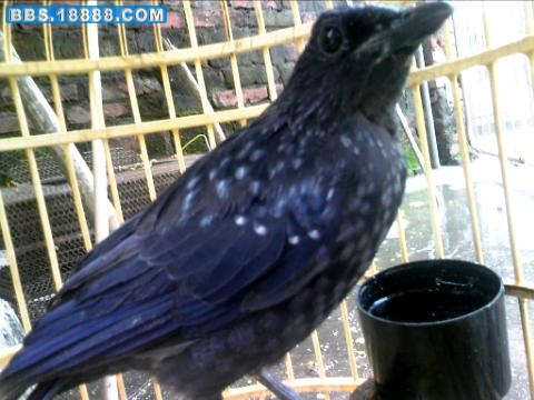 20090902221524.jpg