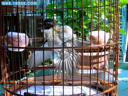 PICT0478.JPG
