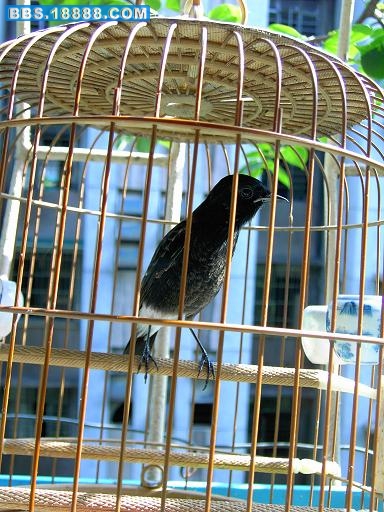 PICT0467.JPG
