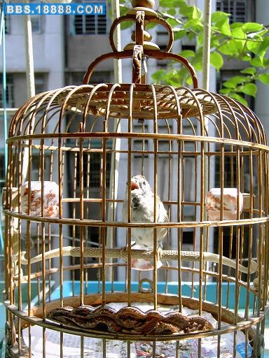 PICT0489.JPG