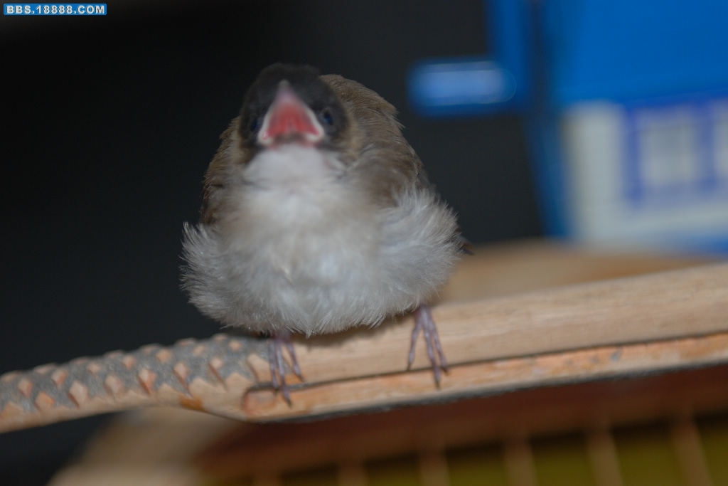 DSC_0782.jpg