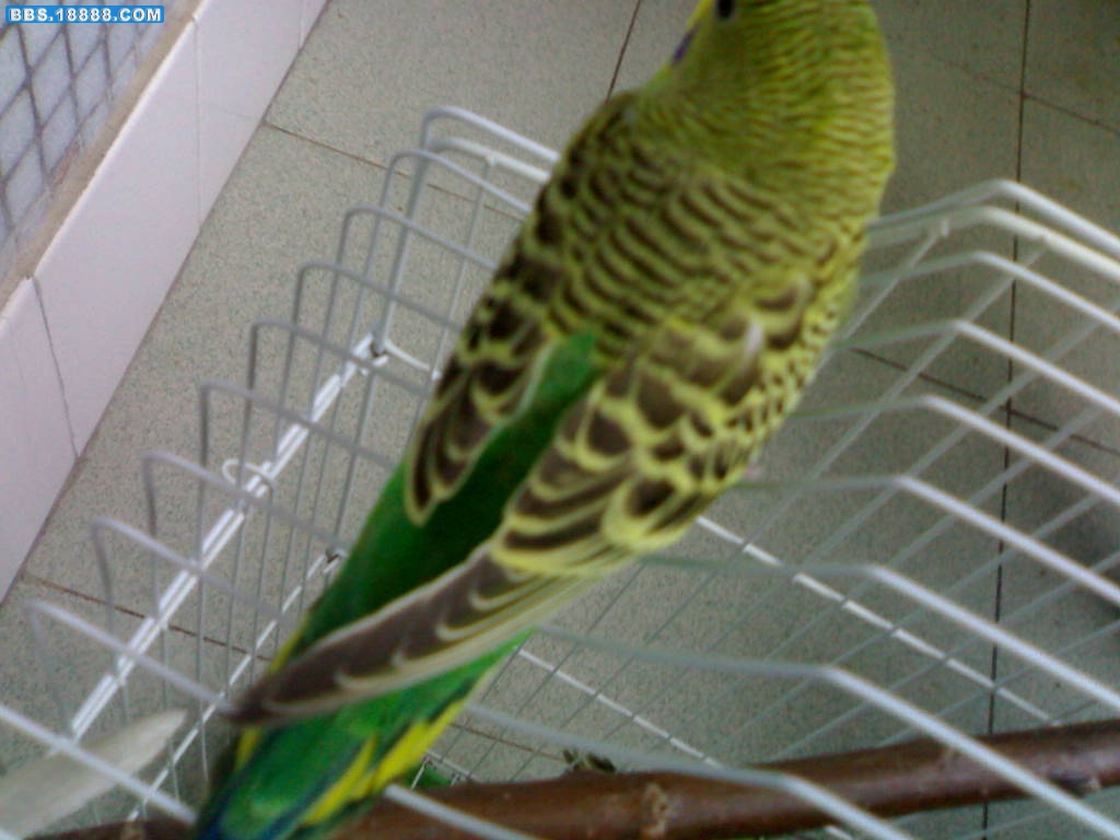 200909221157.jpg