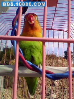 IMG1110A.jpg