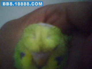 200908121855280.jpg
