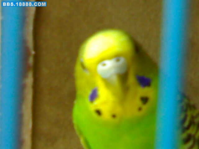 12092009678.jpg