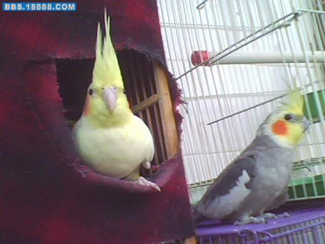 IMG1565A.jpg