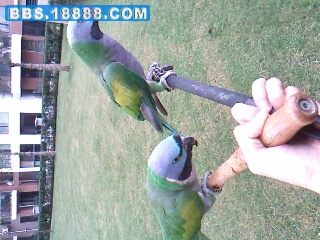 IMG0318A.jpg