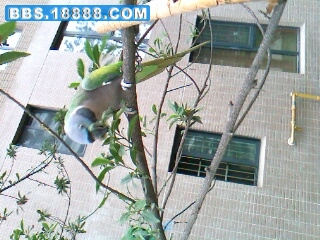 IMG0308A.jpg