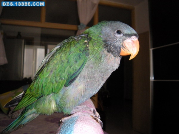 DSCN0507.JPG