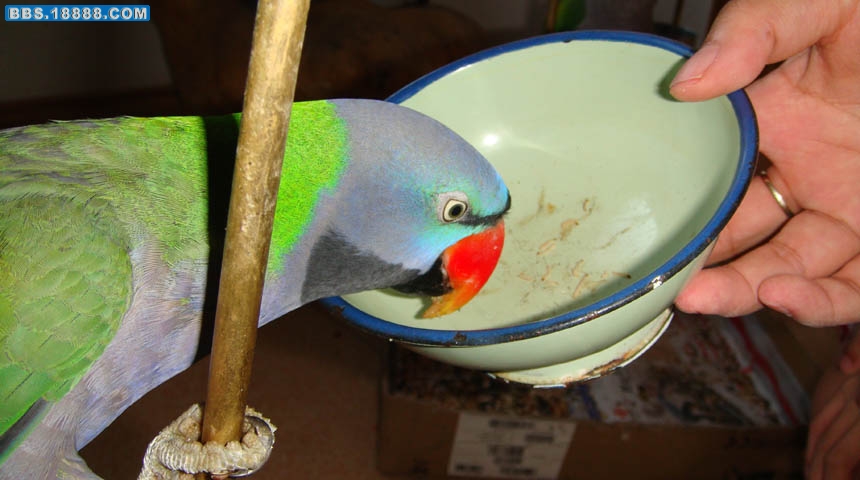 吃零食.jpg