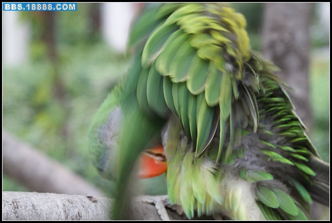 nEO_IMG_DSC03930.jpg