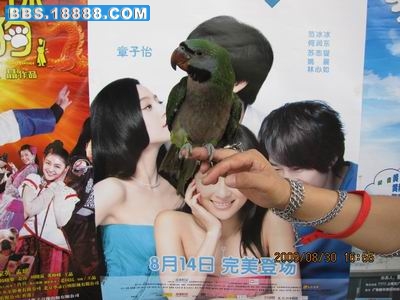 相机的照片 175.jpg