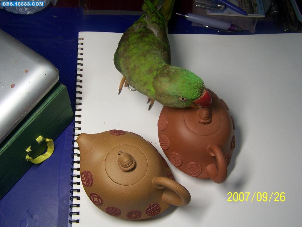 100_4620.JPG
