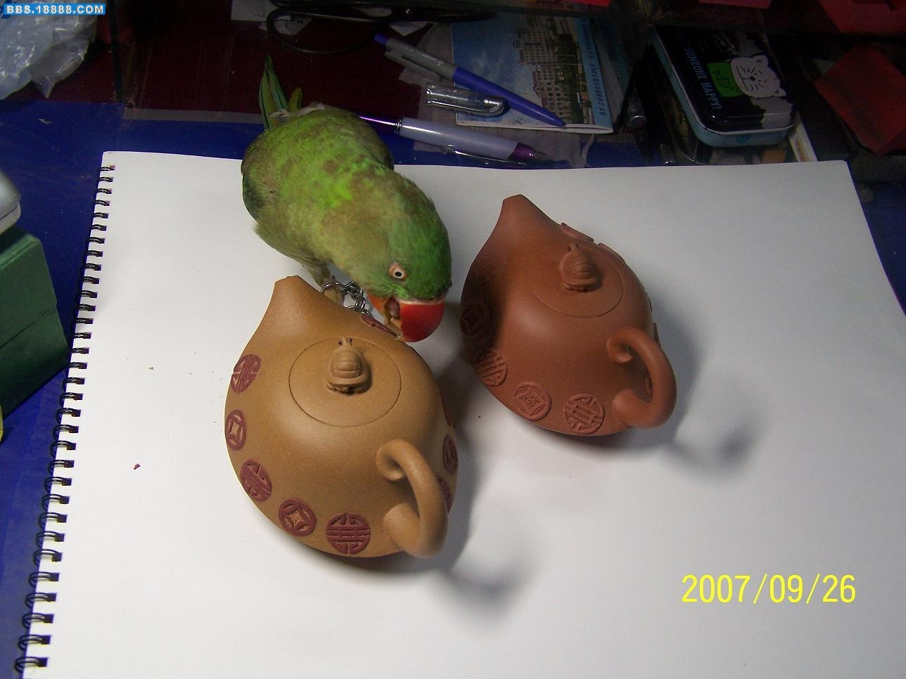 100_4622.JPG