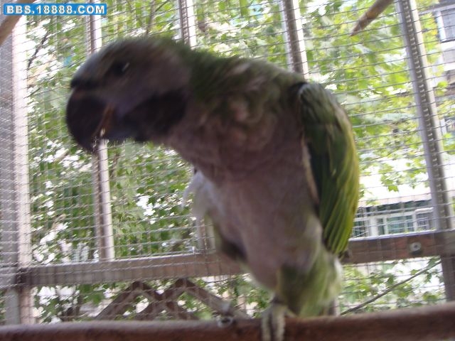DSC01392.JPG