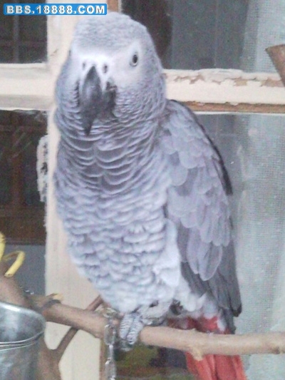 SNC00497.jpg