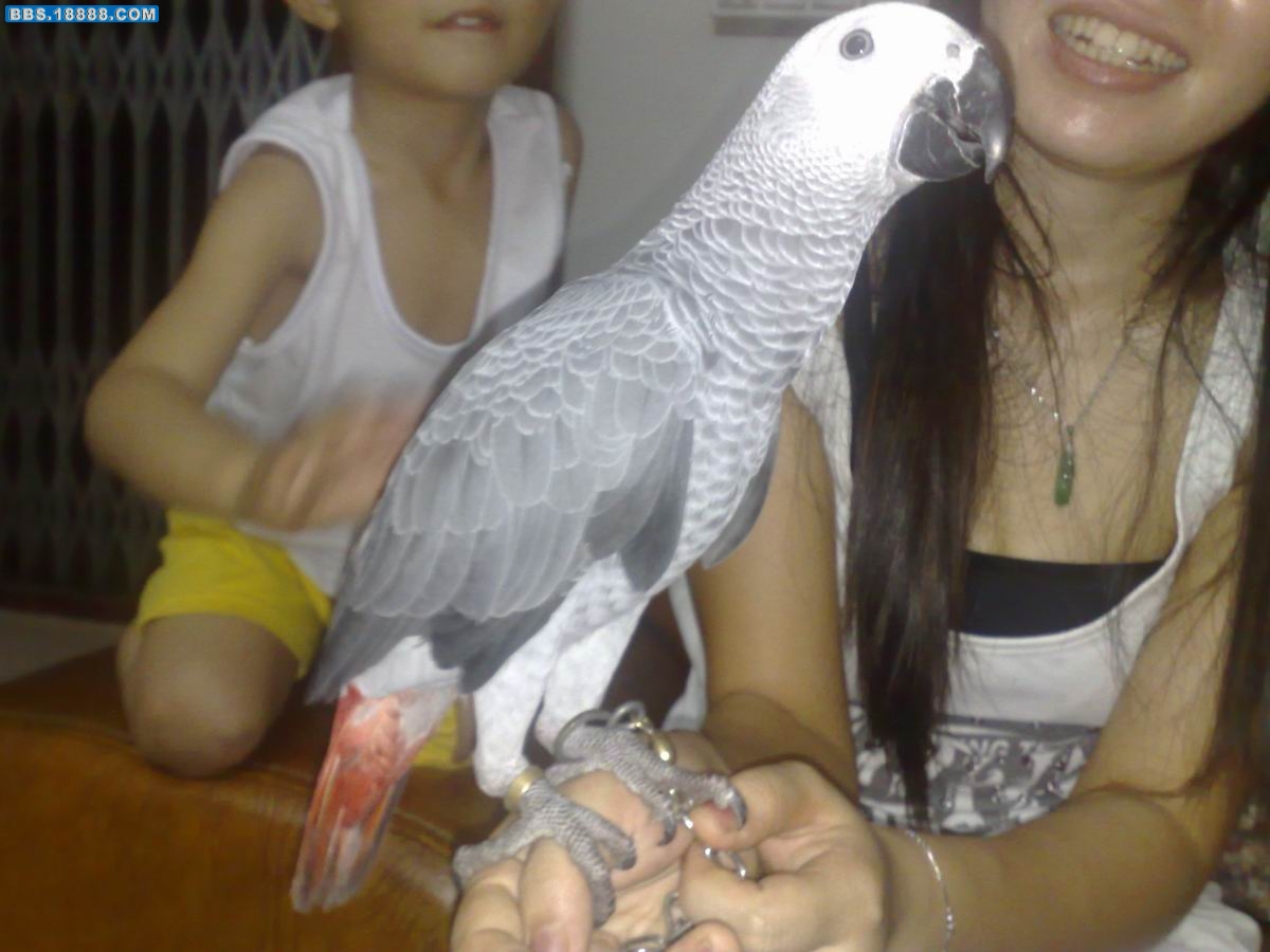 200909241068.jpg
