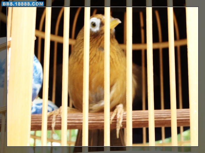 nEO_IMG_DSC03239.jpg